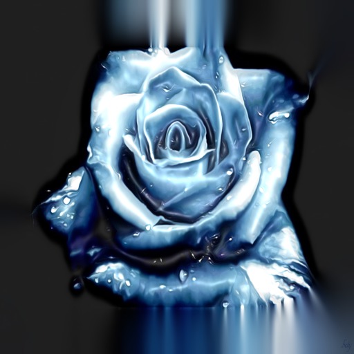 Rose Blue