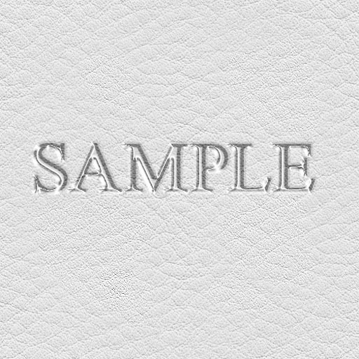 Zoy Texture [ Real Leather ] WHITE - Seamless