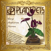 PlantPet Seed [Large Anthurium *Maroon*]