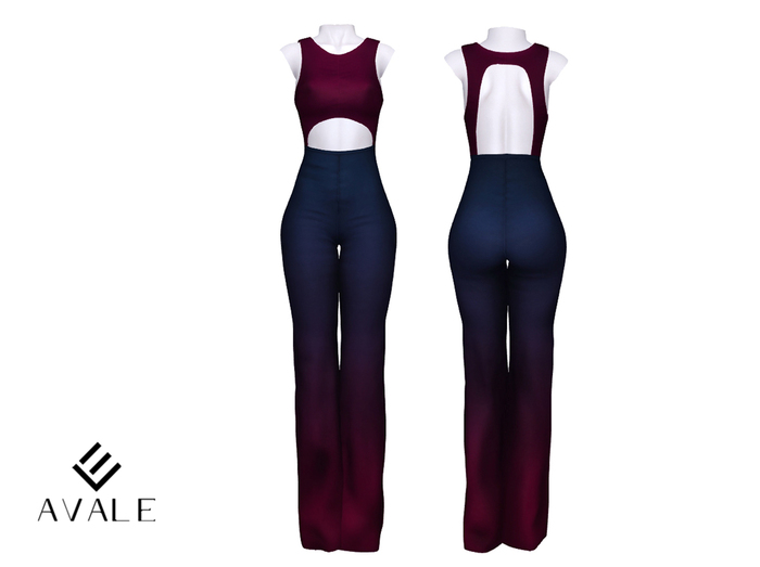 AVALE Dinah Jumpsuit - Gradient