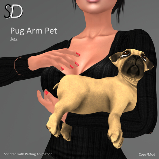 Jez - Mesh Pug with Hold and Petting Animations