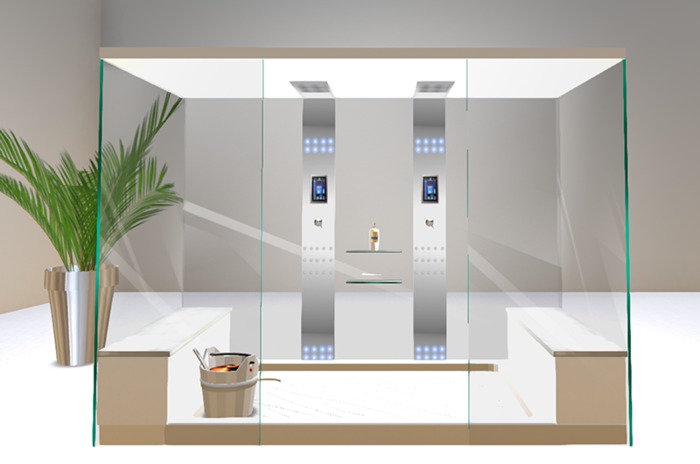 Couples Glass Sauna Shower *