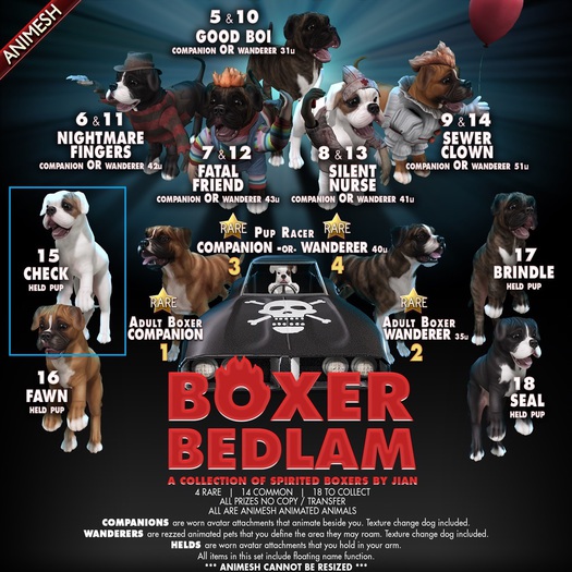 JIAN Boxer Bedlam 15. Check Held Pup BOX