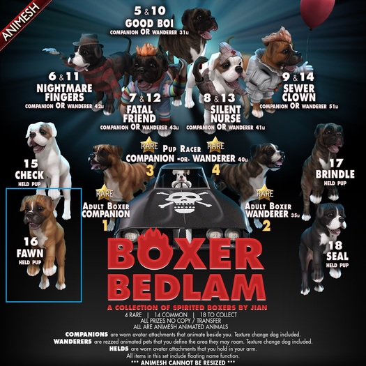 JIAN Boxer Bedlam 16. Fawn Held Pup BOX