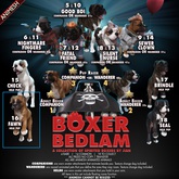 JIAN Boxer Bedlam 16. Fawn Held Pup BOX