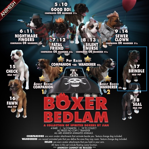 JIAN Boxer Bedlam 17. Brindle Held Pup BOX