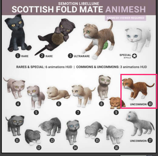 SEmotion Libellune Scottish Fold Mate Animesh #10 UNCOMMON