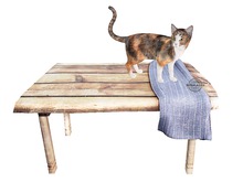 Table with Standing Calico Kitty