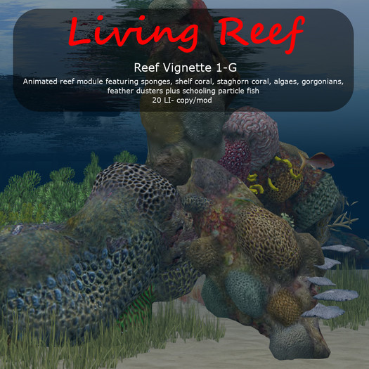 Inochi Reef : Reef Vignette 1-G