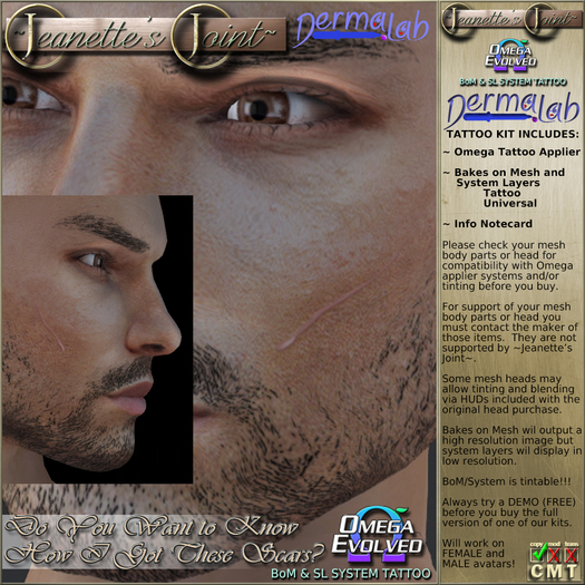 ~JJ~ Do You Want to Know How I Got These Scars?