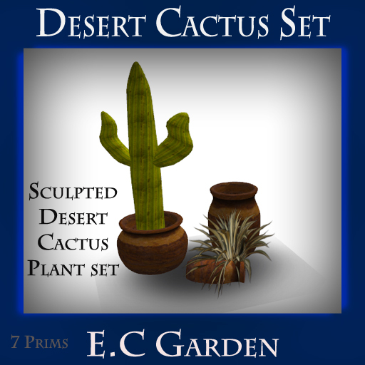@ Garden Potted plant set of Desert Cactus plants