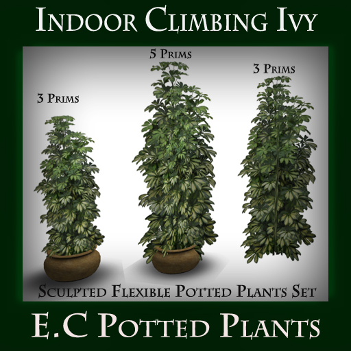 @ Potted Plant set  Indoor Climbing Ivy Pack of 3 