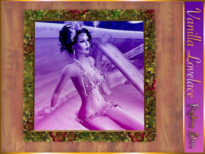 PICTURE FRAME GOLD ROSES 2 - with sample image (modify item)