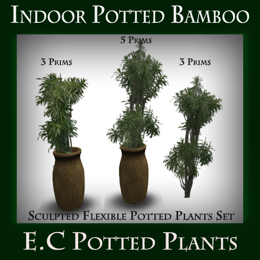 @ Potted Plant Set  of 3 Indoor Pack  Bamboo Plant