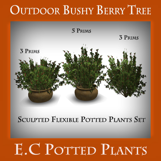 @ Potted Plant set of 3 Outdoor potted Bushy Berry Tree Pack 