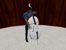 TM Bowed String Bass with Stand - White - Animated