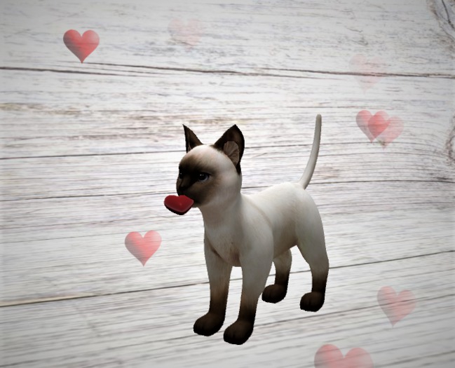 Kitty love messenger