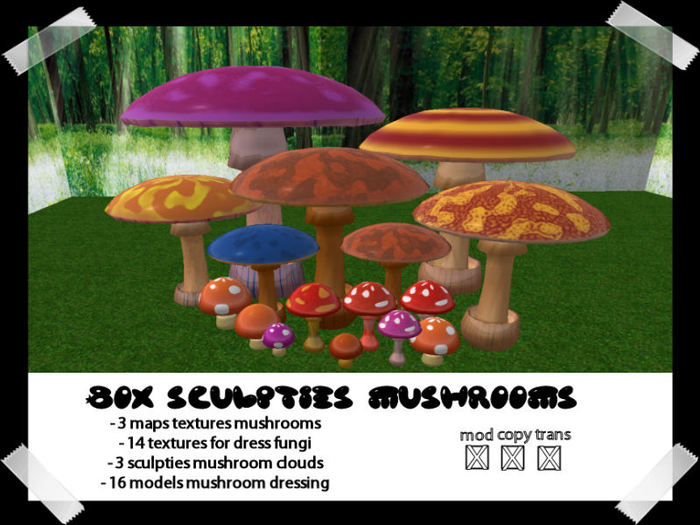 Box sculpties mushrooms