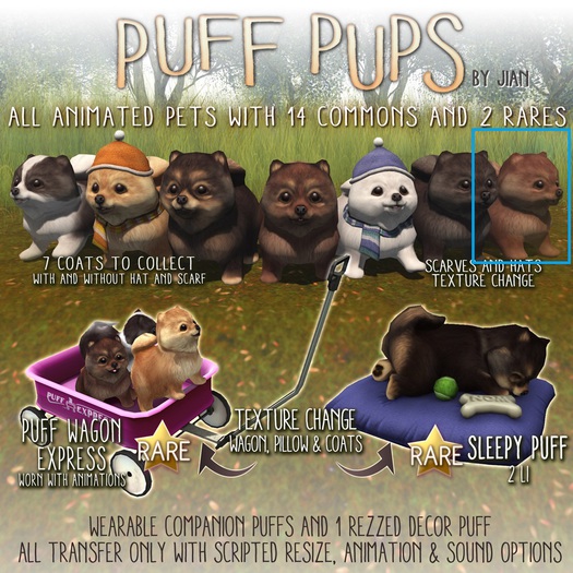 Jian Puff Pups :: Bundled Chocolate Puff (BOX)