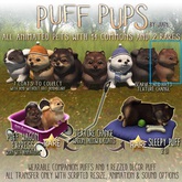 Jian Puff Pups :: Bundled Chocolate Puff (BOX)