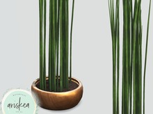 Ariskea[Tahoe] Japanese Prele