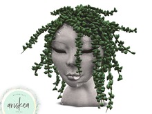 Ariskea[Costa] Sculpture Vegetale