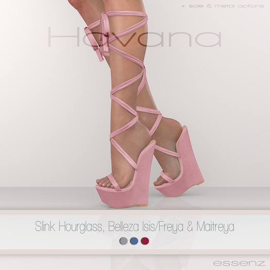 Essenz - Havana (Pack 4)