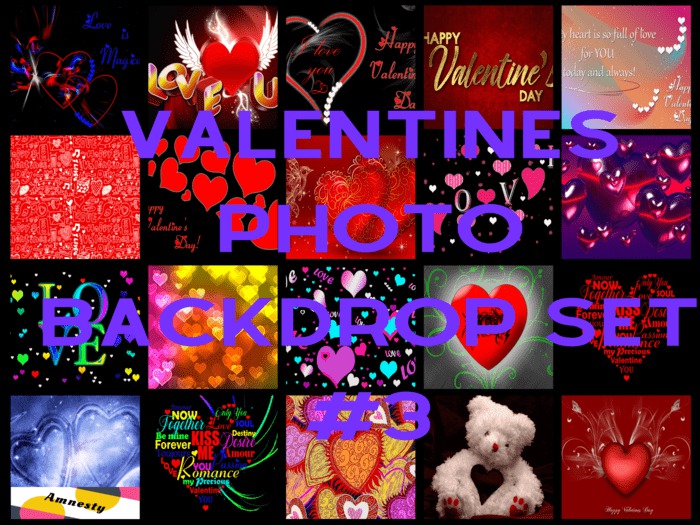 Valentines Day Full-Perm Photo Backdrop Set #3 "BOXED"