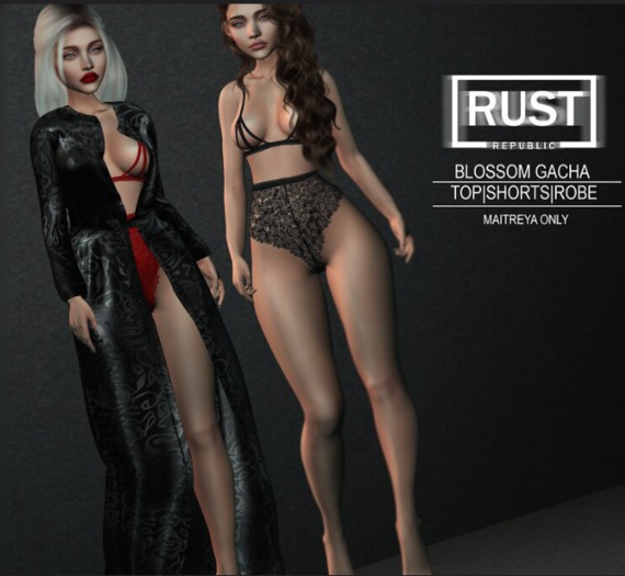 RUST REPUBLIC [blossom] robe RARE