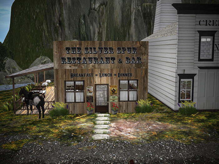 Mesh Western Themed Restaurant
