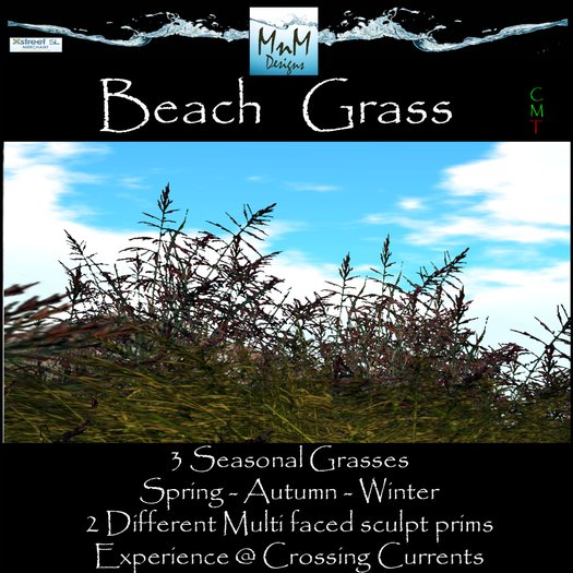 Beach Grass  ***MnM Designs***