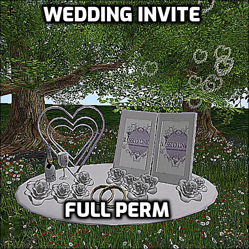 Blessed Unions Wedding Invite 2