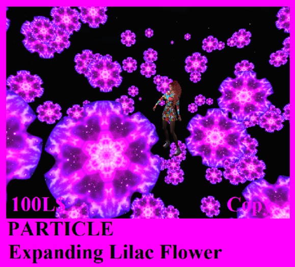 PARTICLE EXPANDING LILAC FLOWER  #