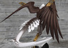 Bald male 08