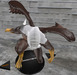 Bald male 07