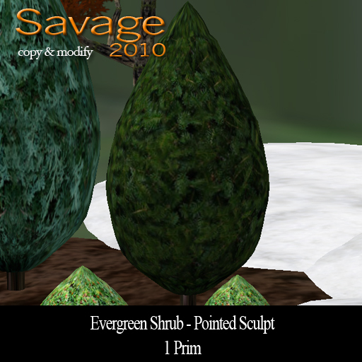Evergreen Shrub 1 - Pointed Sculpt