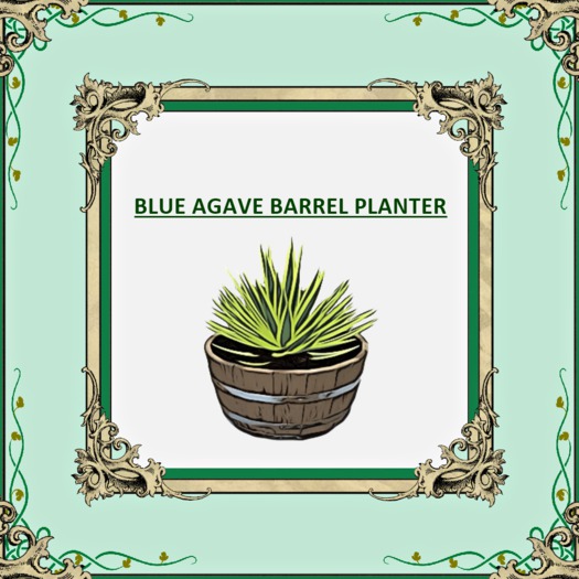 DFS BLUE AGAVE BARREL PLANTER TEXTURE