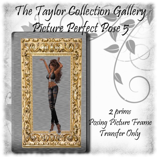 Taylor's Hang On! Picture Pose 5