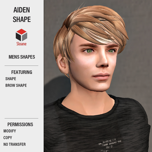 Sloane . Shapes . Aiden