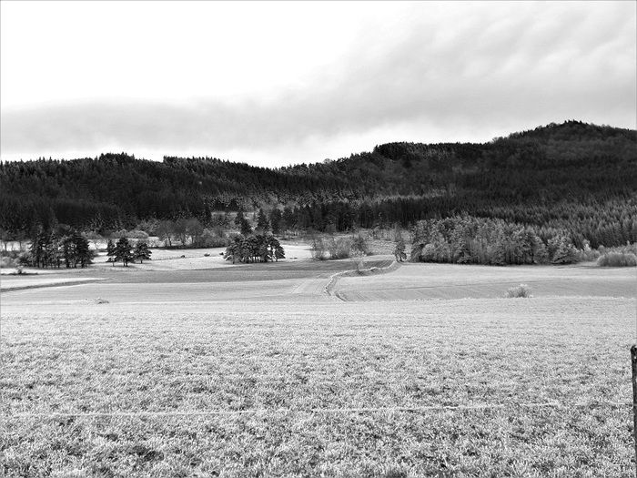 snow black and white shop