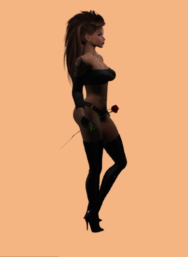 ROSE for your FAVORITE mesh 1 liter