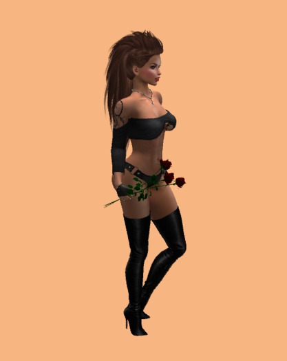 3 ROSE for your FAVORITE mesh 1 liter 