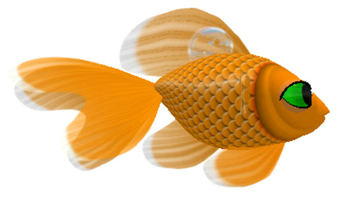 (7S) Common Fish: Orange Goldfish
