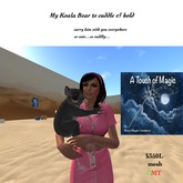 my Koala to cuddle & hold-box