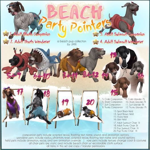 JIAN Beach Party Pointers 3. Adult Swimsuit Companion EP RARE