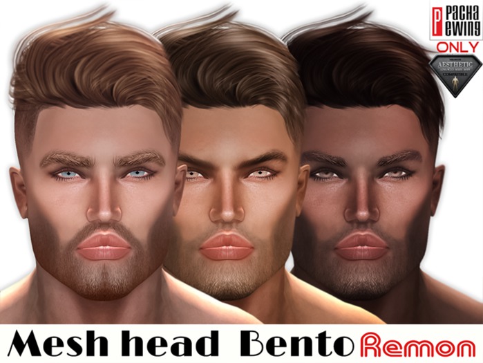 Aesthetic -PachaEwing-Mesh Head_Cabron Remon_ BENTO & Animation