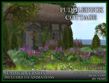 TMG - PUDDLEDUCK COTTAGE* ENGLISH THATCHED COTTAGE with animated ducks and birds. 154 Animations