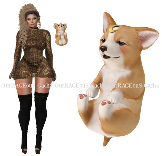 Birdy - Little Witch - Corgi Floaty - RARE