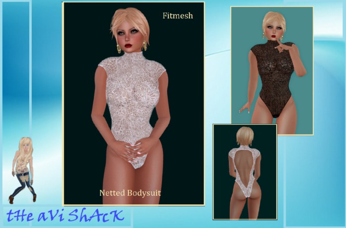 Bodysuit12FMT2_0