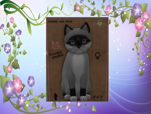 KittyCatS Box  Foxie - Salt & Pepper Mask